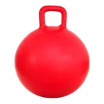 Toyshine Inflatable Hopping Gym Ball for Kids