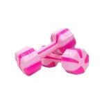 Fitbox Sports Exclusive 2 kg Dumbbells (Snow Pink)